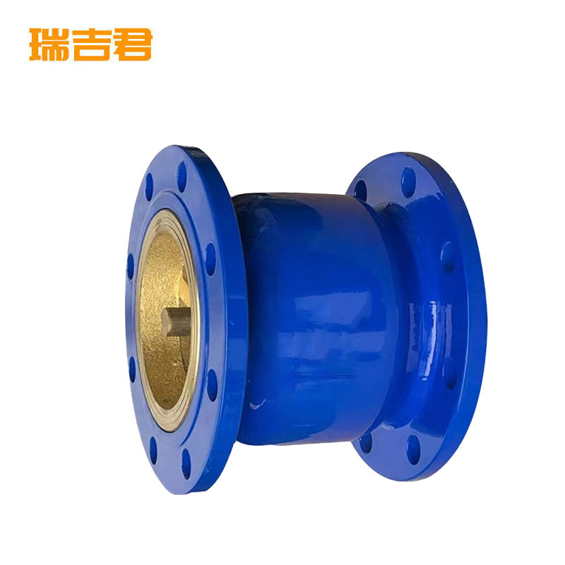 瑞吉君 消声止回阀 DN40 个高清大图