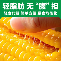 肇玉 黄糯玉米 4.8斤(240g*10根) 东北甜黏玉米棒 早餐苞米 真空包装