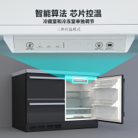 尊贵(ZUNGUI)BCD-198WQB 198升卧式冰箱家用变频风冷无霜小型柜式双门橱柜式电冰箱