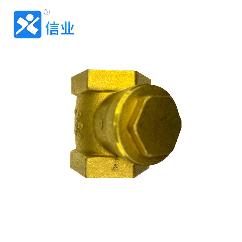 信业 全铜卧式止回阀 黄铜止水阀 单向阀逆止阀水表止逆阀高清大图