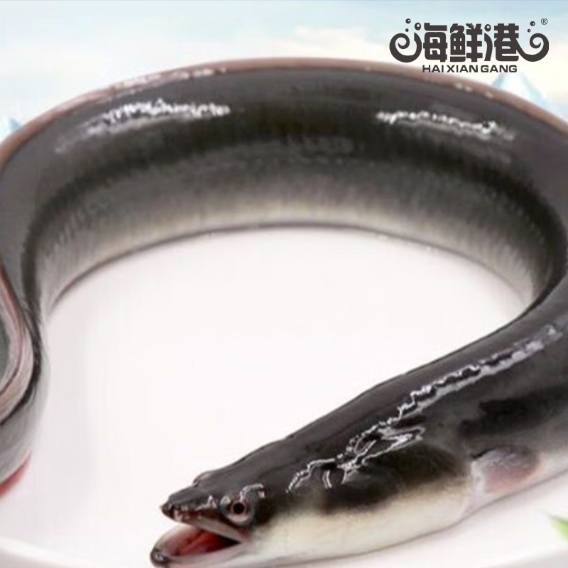 海鲜港 海鲜礼盒898型-富贵盈门高清大图