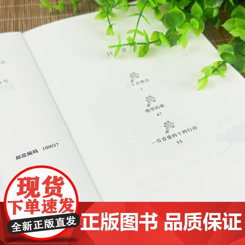 二十首情诗和一支绝望的歌巴勃罗·聂鲁达 文学书籍