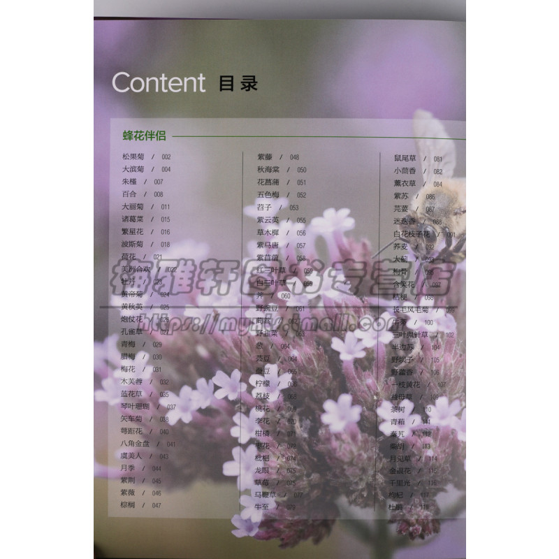 [正版]蜂类蜜蜂视界 双语英汉蜜蜂研究拍摄记录蜜蜂生活酿蜜各种类品种植物花草花卉摄影照片作品集鲜花自然科普摄影画册书籍