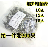 电磁炉保险管 体积10A 12A 15A带引脚电磁炉保险丝 5*20/6*30 混装200只