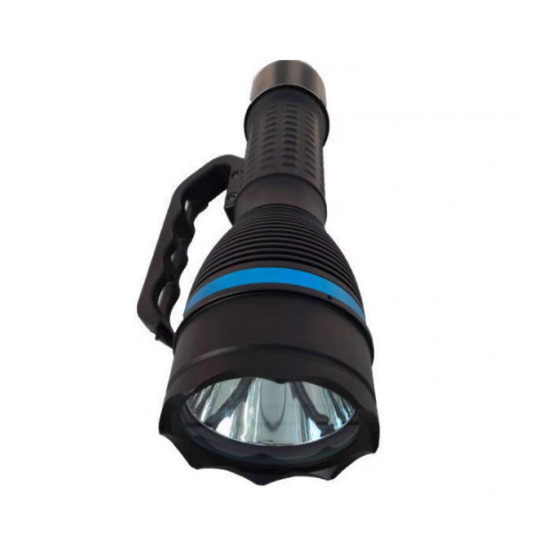 鸿灵睿芯 DT16F 305*117*82mm 22.2V 12W IP66 LED 手提式工作灯(计价单位:盏)黑色高清大图
