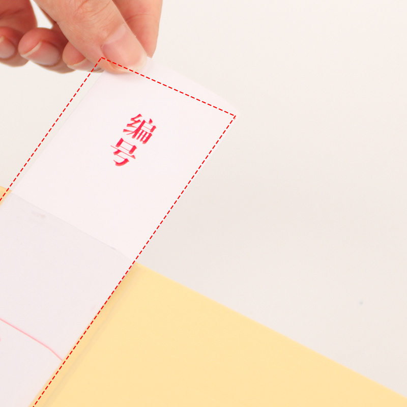 智企亿品 ZQ干部人事档案盒10只装 72111