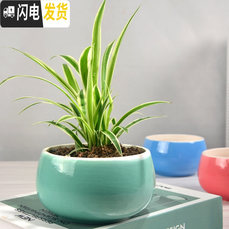 三维工匠陶瓷花盆多肉绿萝吊兰盆栽 家用阳台室内创意 经典款-随机1个 中等花盆容器高清大图