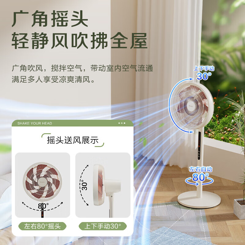 格力(GREE)落地扇电风扇家用直流变频轻音节能电扇台地两用一级能效 12片双层扩风扇叶FSZ-30X66Bg7 遥控款高清大图