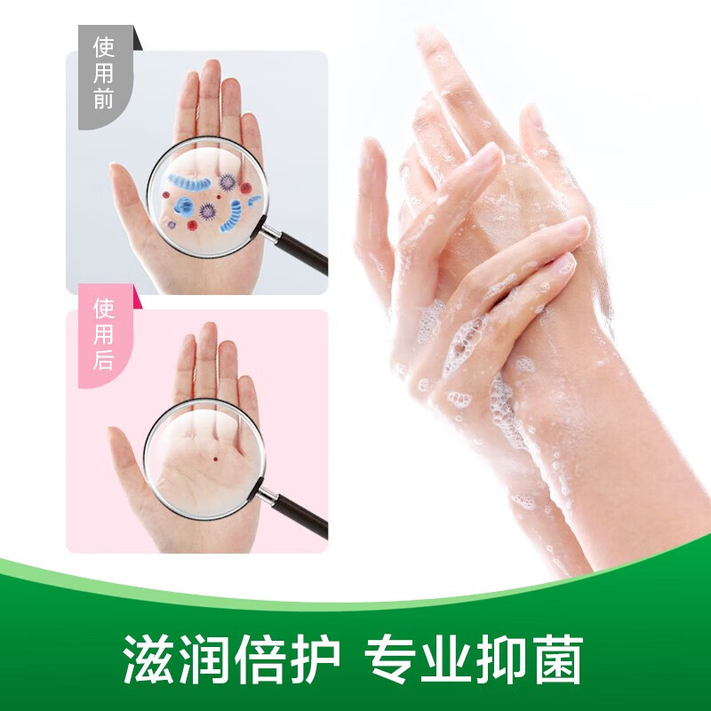 滴露-洗手液滋润倍护450g补充装高清大图