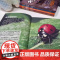 动物趣味千问千答全6册6-12岁适读1000+动物知识点涵盖多样物种解答生活习性进化等趣味问题生动图文展示激发好奇心培养