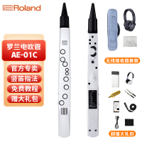 罗兰(Roland)AE-01C电吹管新型电子萨克斯支持蓝牙初学者成人老年人电子管乐