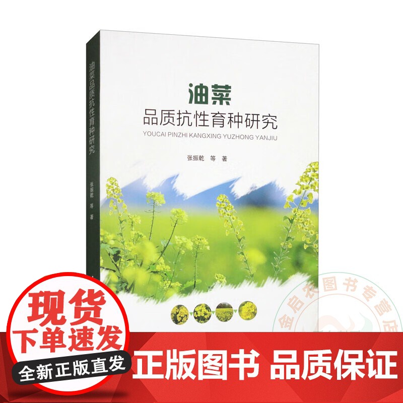 油菜品质抗性育种研究 9787511671639 张振乾 等编 中国农业科学技术出版社高清大图