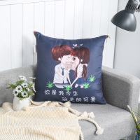 胡夫家纺(HUFU)D4145虎皮绸浪漫抱枕被