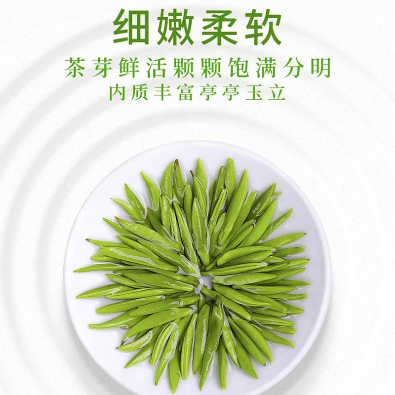 知茶茶叶雀舌绿茶罐装625g罐早春明前嫩芽绿茶高清大图