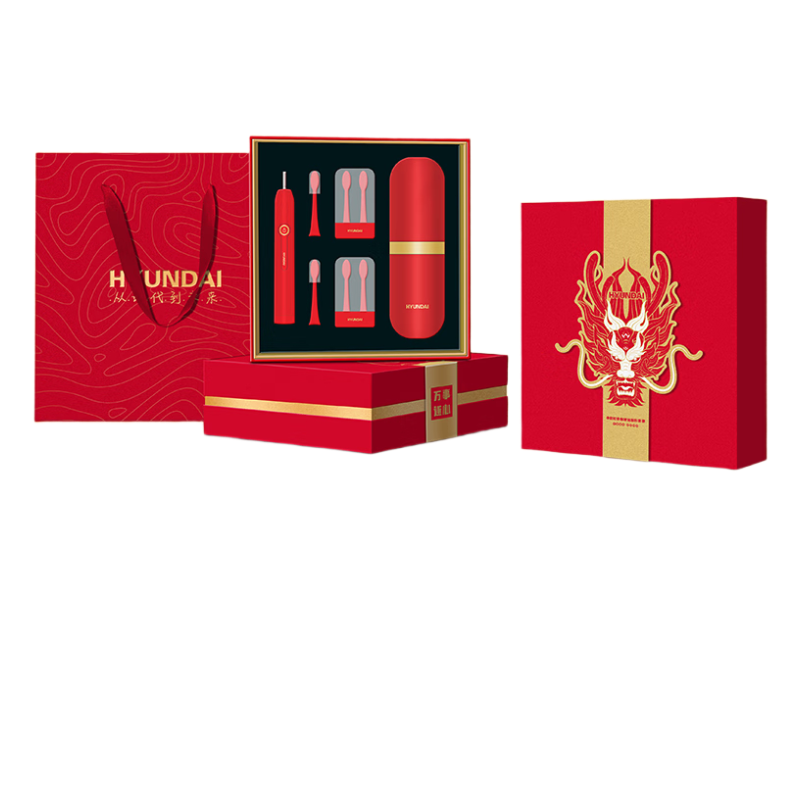 HYUNDAI 声波电动牙刷套装(牙刷*1+刷头*6+牙刷水晶盒*2+便携盒*1)X10