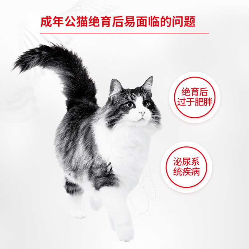 皇家 (royal canin)成年公猫绝育全价配方粮WS40/1.5KG