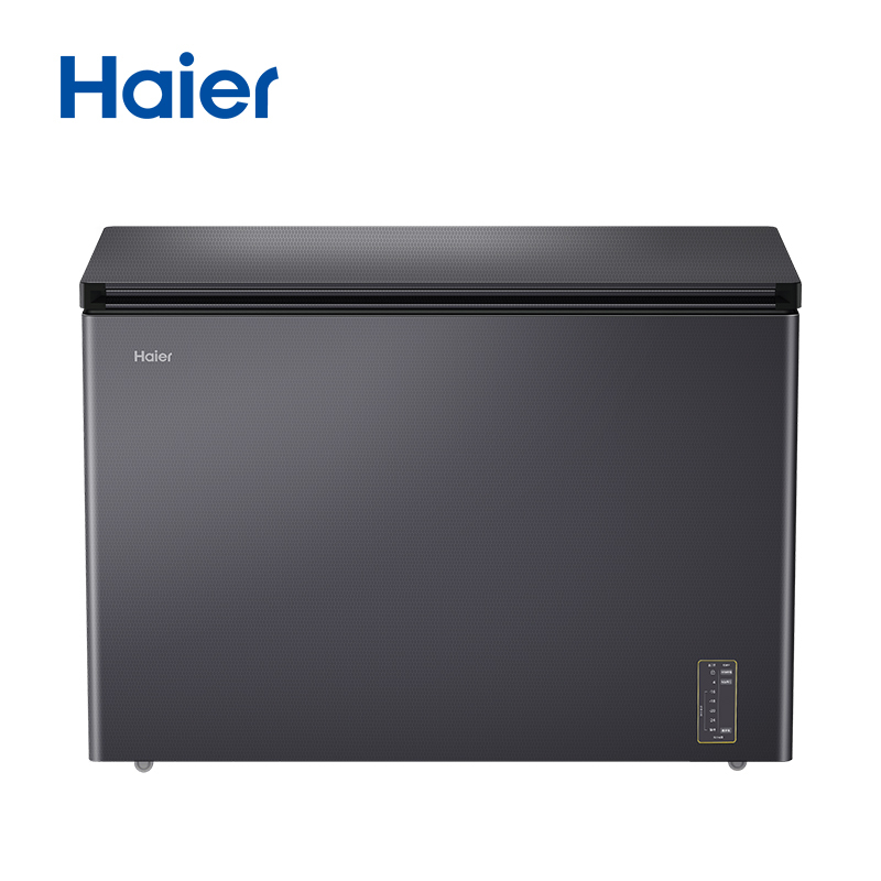 海尔(Haier) BC/BD-300WGHEC高清大图