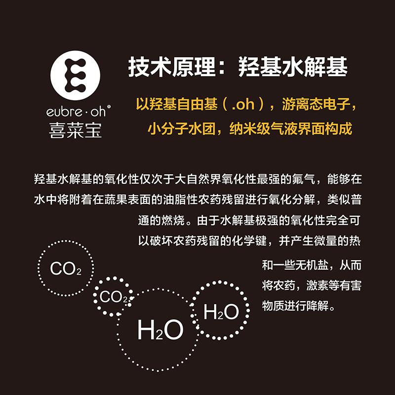 埃勃尔(eubre.oh) 法国喜菜宝PR-001果蔬机 多功能鱼肉食品净化机 餐具消毒机 去除农残杀菌 高速净化净食机