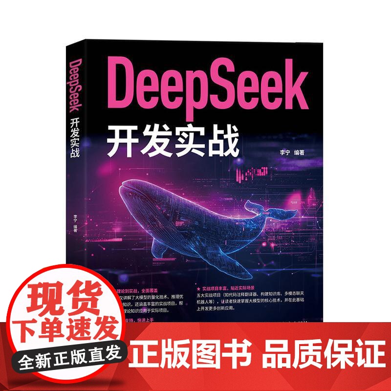 DeepSeek开发实战 大语言模型大模型开发deepseek教程LLM提示工程师人工智能机器学习