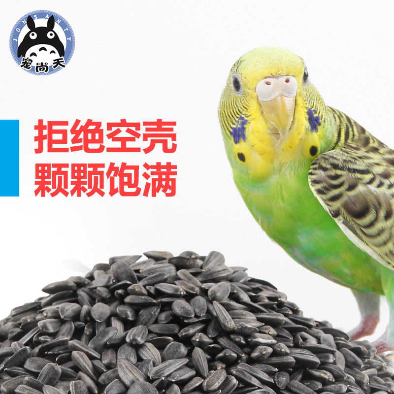 鹦鹉饲料小瓜子黑珍珠仓鼠粮食零食小黑瓜子磨牙吃的小食物高清大图