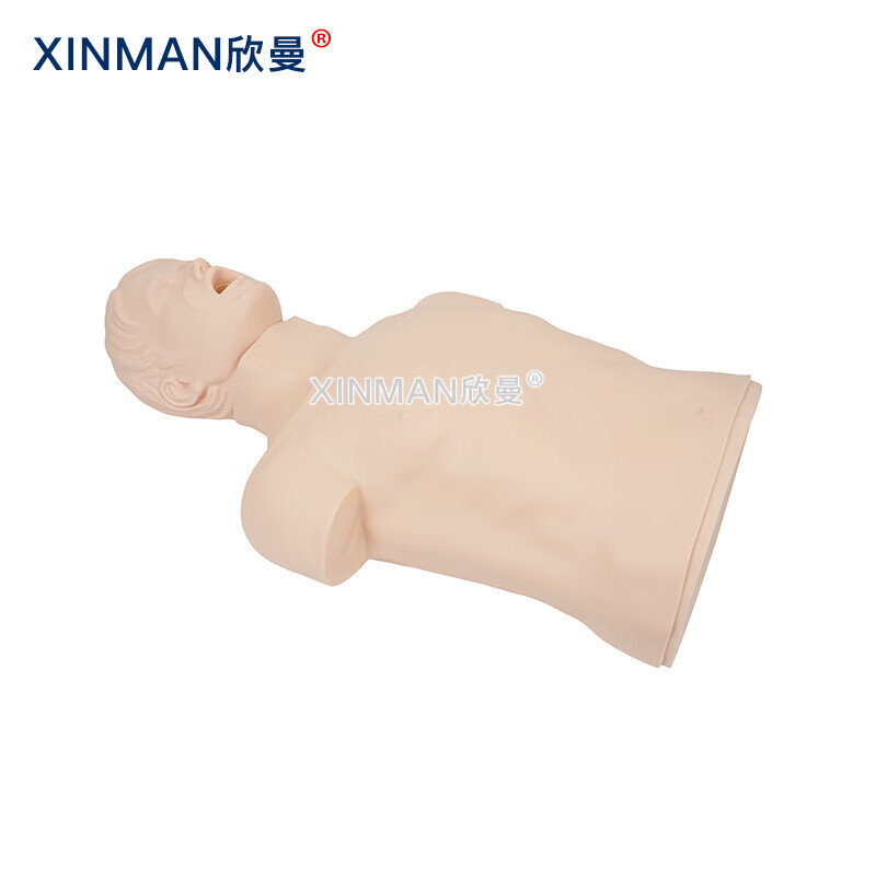 欣曼科教 高级成人气道梗塞及CPR模型 成人海姆立克急救训练模拟人 气道异物梗阻模型XM-CPR156高清大图