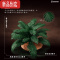 真智力仿真植物仿真树木草坪草丛配件模型恐龙玩具动物DIY搭配场景 草丛 场景模型 (高5厘米)仿真食物