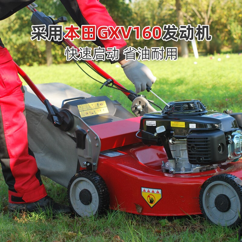 凯姿(KAZZ)KZ536HH(手推)割草机汽油草坪机21寸手推式剪草机打草机割草机推草机 单位:台高清大图