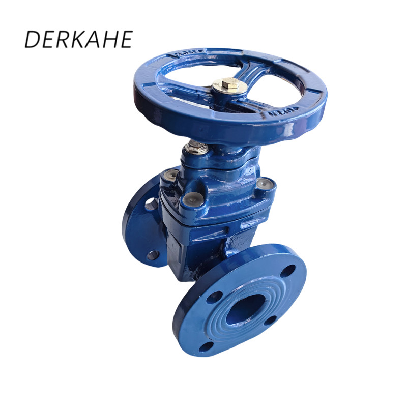 DERKAHE 软密封闸阀 Z45X-16Q DN100 个