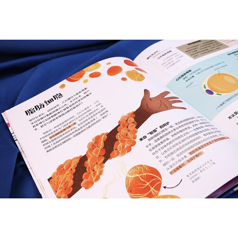 全套10册 [正版]人体亿万细胞之国 给孩子的手绘微生物简史 全套2册 8-14岁 人体细胞知识科普百科 细菌病毒绘本科高清大图