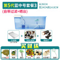 乌龟小乌龟缸大型养龟的专用鱼缸巴西龟别墅饲养箱生态缸房子 默认尺寸 第5代-蓝中号套三(免换水)送2龟★推荐★