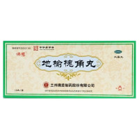 佛慈 地榆槐角丸9g*10丸/盒疏风凉血泻热润燥