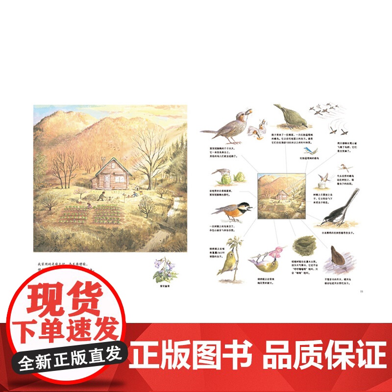 山居鸟日记高清大图