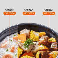 九阳电压力锅家用双胆5L高压饭煲智能全自动多功能 星耀金5L