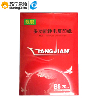 晨鸣 B5靓舰复印纸 70G 打印白纸 办公用纸 纯木浆 试卷纸 8包/箱