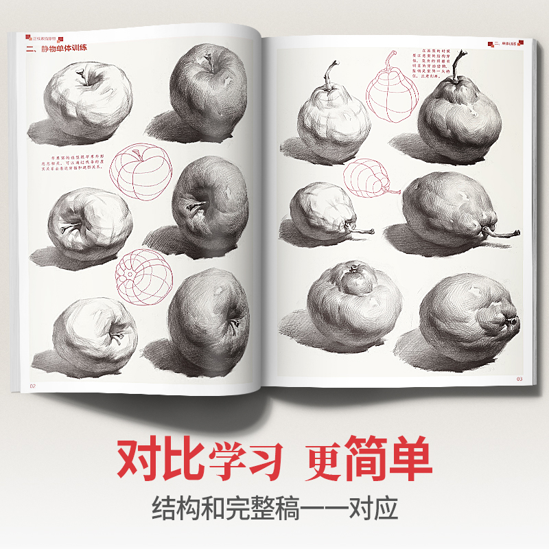 [正版]正统素描静物 2021沐尚文化单体组合基础石膏几何体临摹范本基础技法美术绘画画册零基础高中初学新手照片对画高考高清大图