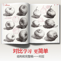 [正版]正统素描静物 2021沐尚文化单体组合基础石膏几何体临摹范本基础技法美术绘画画册零基础高中初学新手照片对画高考