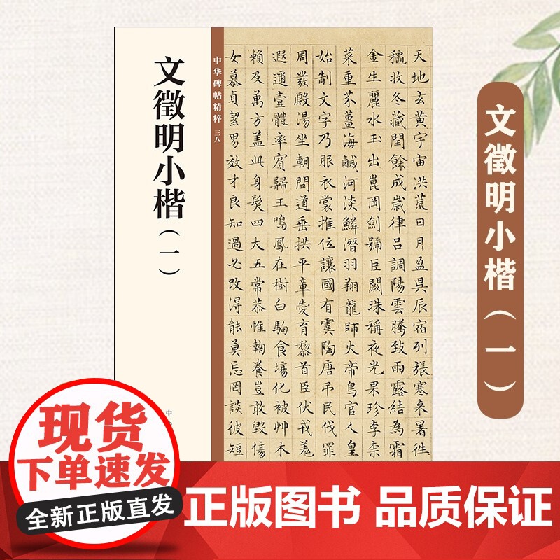 文徵明小楷一 中华碑帖精粹38 中华书局编辑部编 毛笔楷书书法练字字帖 碑帖临摹练习 简体旁注 中国明代 正版书籍高清大图