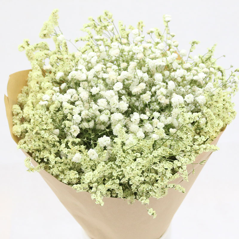 干花花束满天星家居客厅摆设小清新勿忘我永生花装饰干花包紫勿满天星