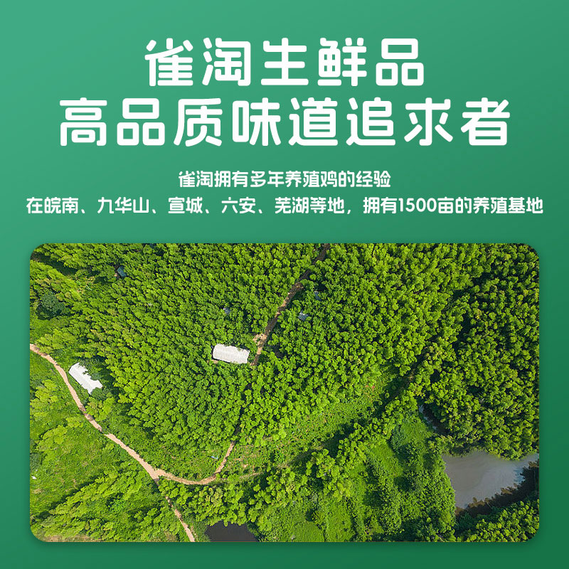 雀淘 正宗皖南黄油老母鸡2-2.3斤/只 1只装 整鸡净膛冷冻竹林慢养鸡走地鸡高清大图