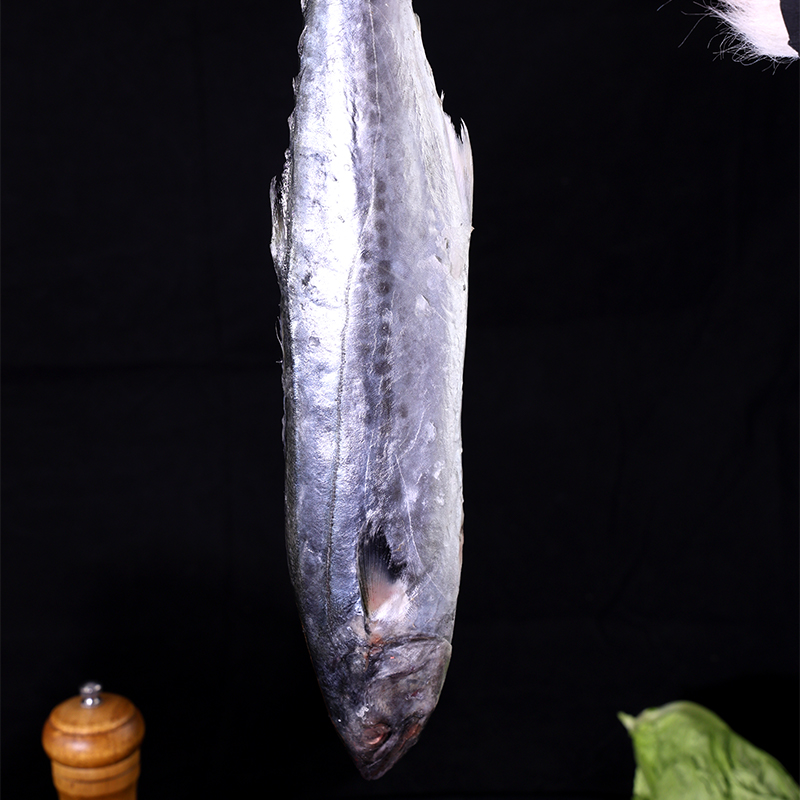 星龙港 海捕冷冻鲅鱼礼盒 2000g高清大图