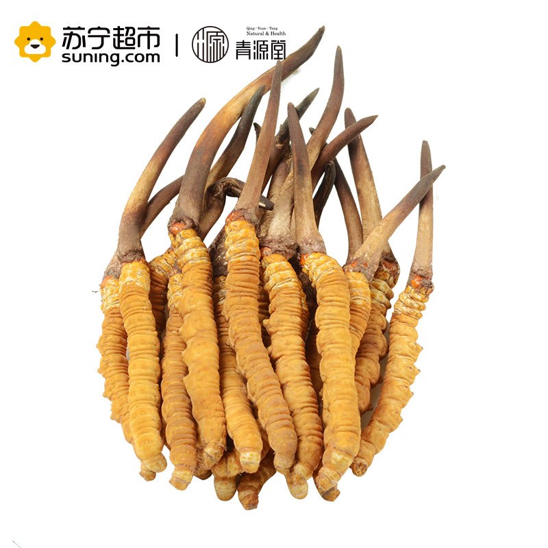 青源堂 冬虫夏草 0.5克/条 20条装10克 新鲜冬虫夏草青海玉树高海拔雪山虫草正品 可泡酒泡水