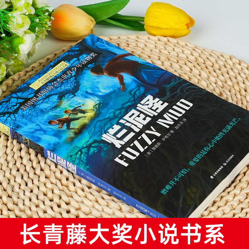[赠书签-183页]烂泥怪 [正版]烂泥怪 长青藤大奖小说书系列 8-10-12岁初中小学生三四五六年级课外书必书读 学高清大图