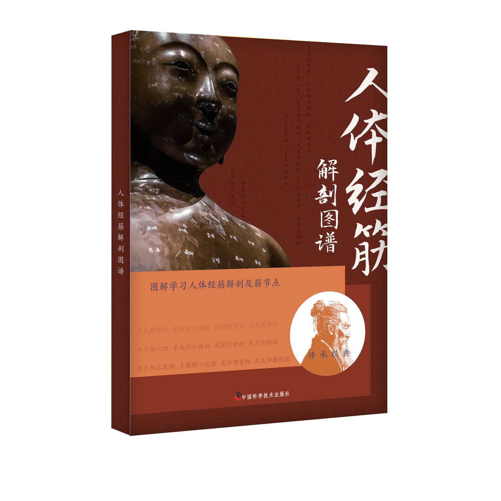 3册]人体经筋循行地图+人体经筋解剖图谱+点位九大绝技 [正版]正品人体经筋循行地图图解+人体经筋解剖图解学习人体十高清大图