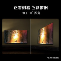 索尼(SONY)电视 8系 OLED百万级控光 AI画质算法 屏幕发声 OLED广视角 纤薄一体化设计K-65XR80
