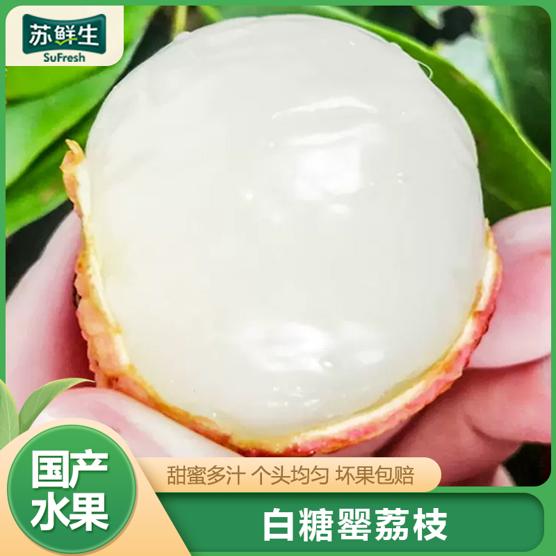 【苏鲜生】新鲜白糖罂荔枝 净重2.5斤 单果18g+