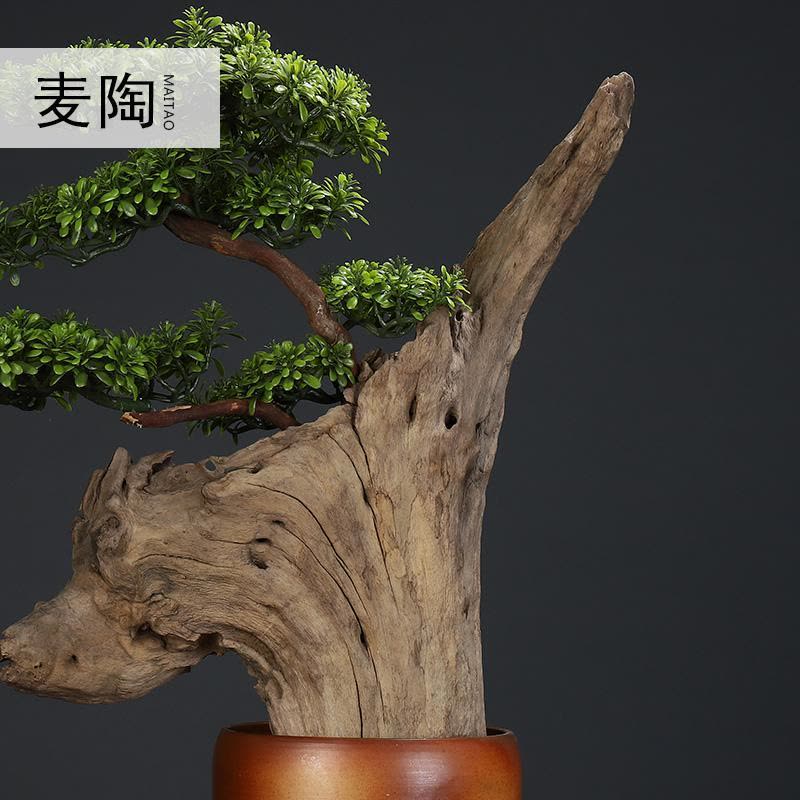 美帮汇根花架实木树根原木底座落地客厅木摆件根艺盆景架图片