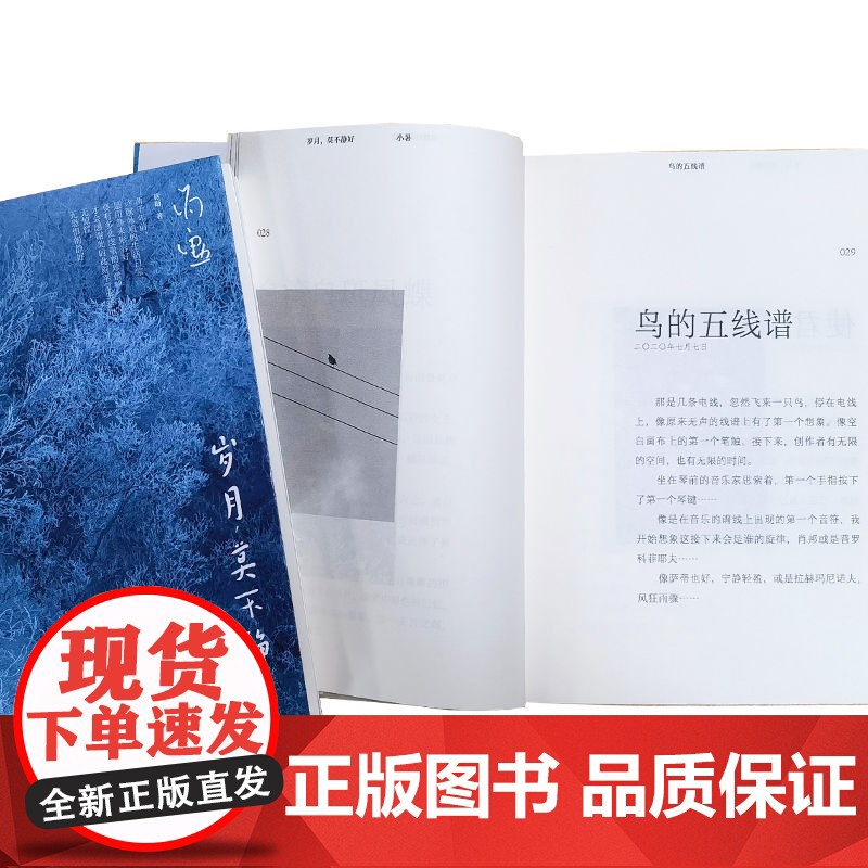 赠蒋勋音频独白 岁月 莫不静好 蒋勋 至美疗愈心理自助心灵鸡汤励志书籍美学大师画阐释生活之美生命之好大众唯美散文图书集高清大图