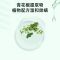 海氏海诺 300ml装家用卧室沙发除螨去味免洗免晒青花椒祛螨喷剂草本植物青花椒除螨清洁喷雾