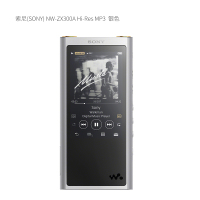 索尼(SONY) NW-ZX300A Hi-Res MP3 单位:支<1支装>银 高解析度无损音乐播放器