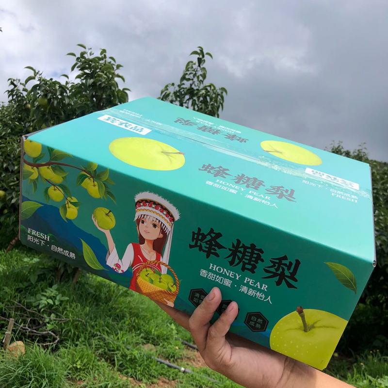 希礼盛水果生鲜云南古树蜂糖梨 大果 净重8-8.5,11-15个【单果:250-350克/个】家庭装中秋送礼彩箱